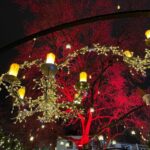 PHOTO-2023-12-18-21-35-477